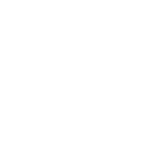 Auto & Vehicles